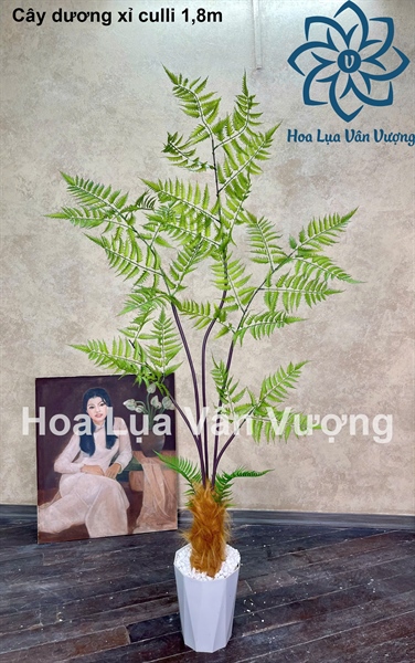Cây dương xỉ culli có chậu - 1,8m - Cây - Hoa Lụa Vân Vượng