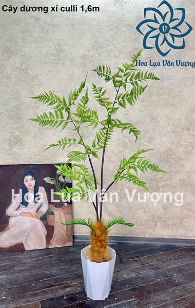 Cây dương xỉ culli có chậu - 1,6m - Cây - Hoa Lụa Vân Vượng