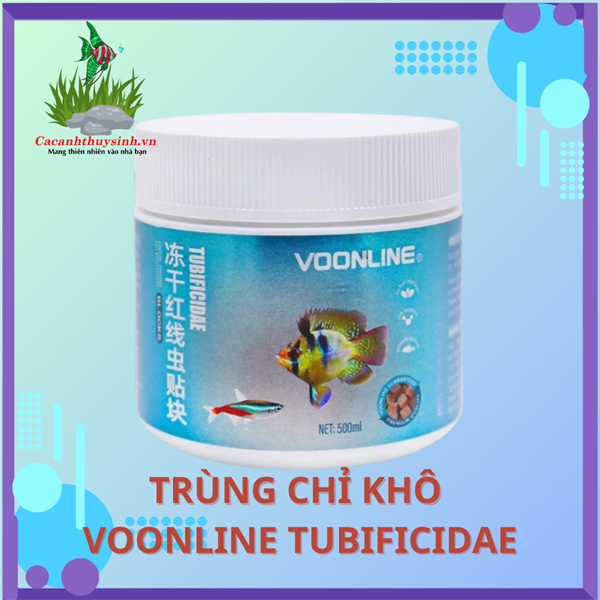TRÙNG CHỈ KHÔ VOONLINE TUBIFICIDAE