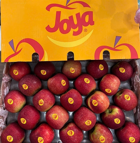 Táo JOYA Fruitways Nam Phi S90