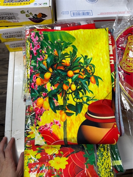 Tấm Vải Background Trang Trí Tết 28