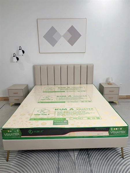 Nệm CS Vinatex (T)