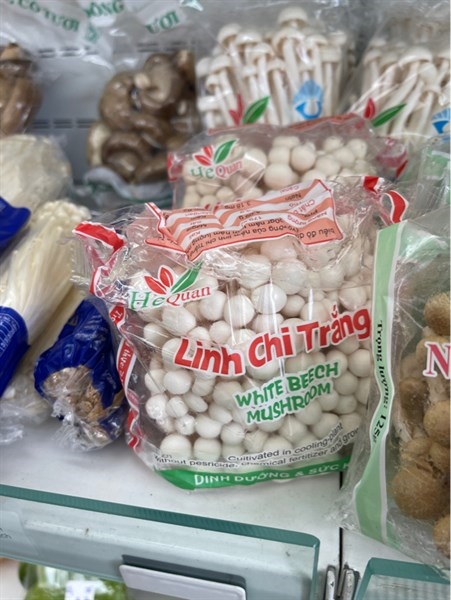 Nấm Linh Chi trắng 白いしめじ