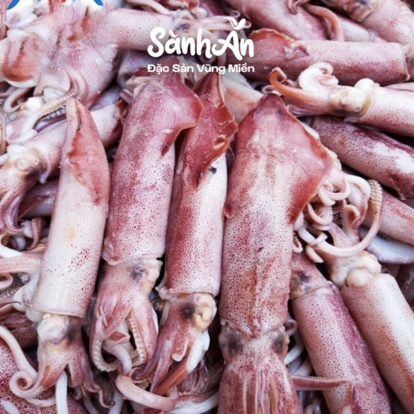 Mực 4 trắng Cô Tô 500g