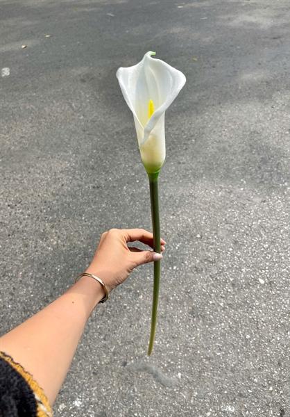 Rum cao su 1b - Hoa cành dài - Hoa Lụa Vân Vượng