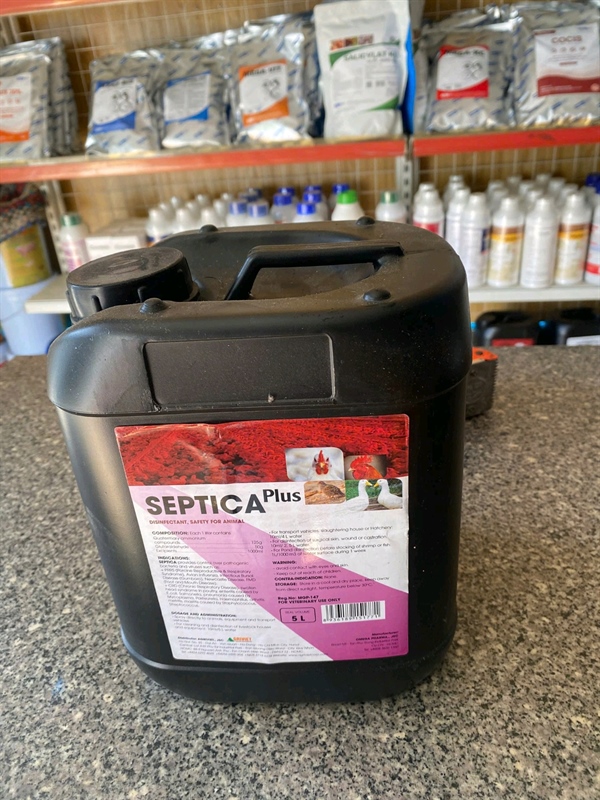 AGR SEPTICA (5lit)