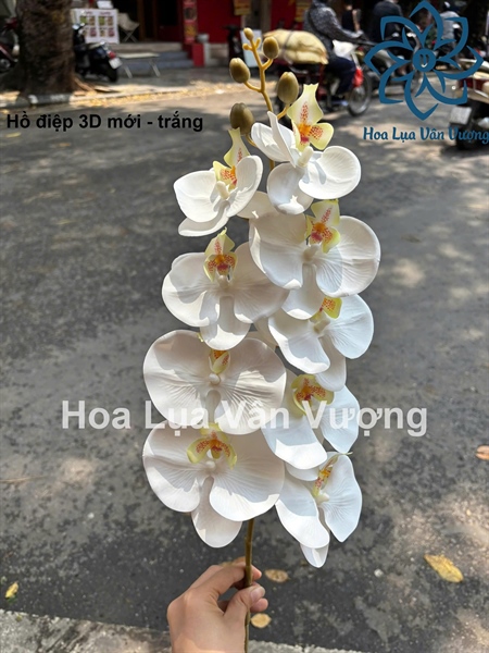 Hồ điệp 3D mới - trắng - Hồ điệp, lan - Hoa Lụa Vân Vượng