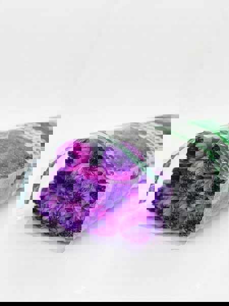 Hoa Cúc Makoto 2 màu Hồng +Tím