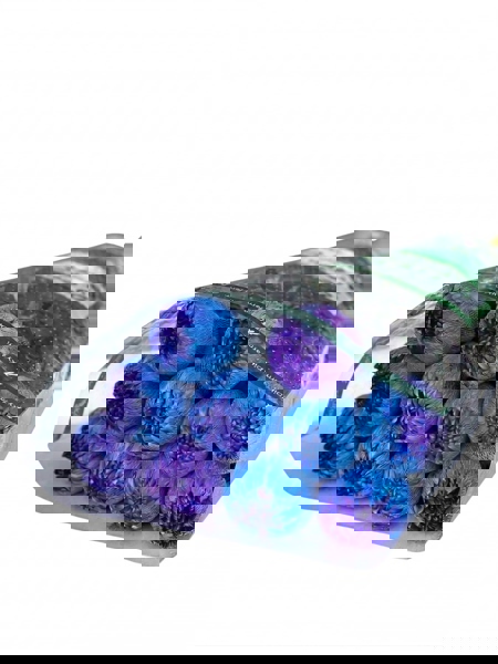 Hoa Cúc Makoto 2 màu Xanh Dương +Tím