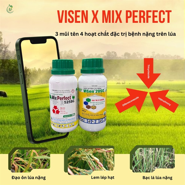 Visen x Mix Perfect - Chuyên trị đạo ôn lúa nặng