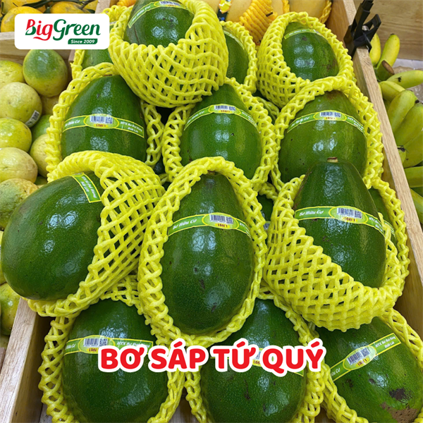 Bơ Sáp Tứ Quý