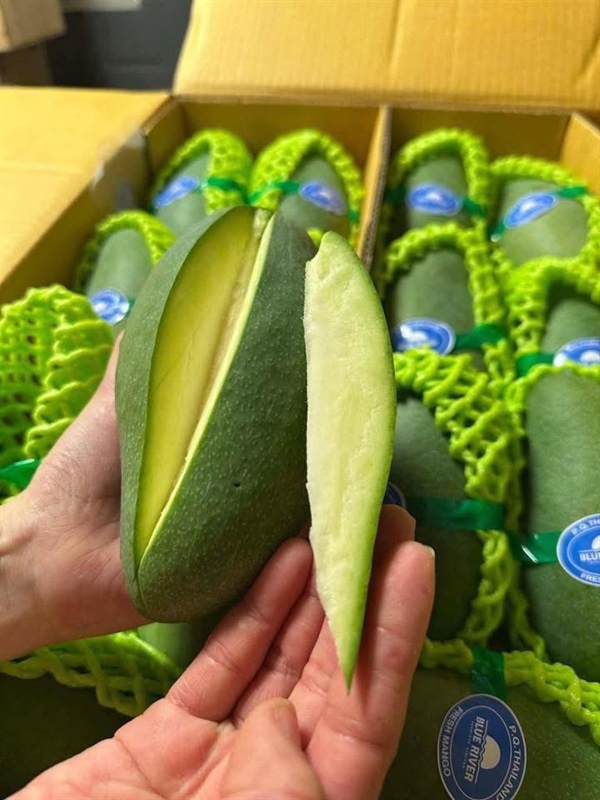 Xoài Thái Túi 2quả