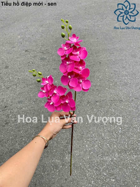 Tiểu hồ điệp mới - sen tươi - Hồ điệp, lan - Hoa Lụa Vân Vượng