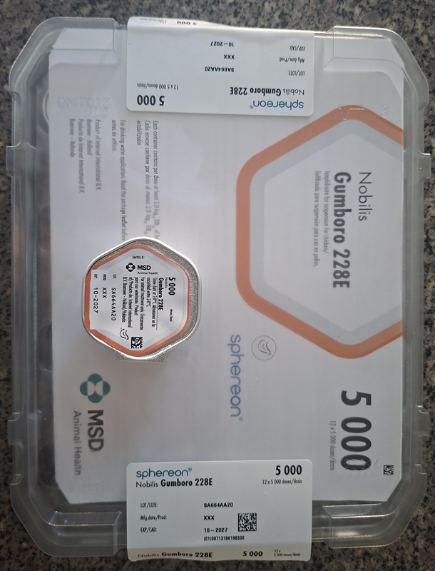 #MSD GUMBORO 228E (5000DS)