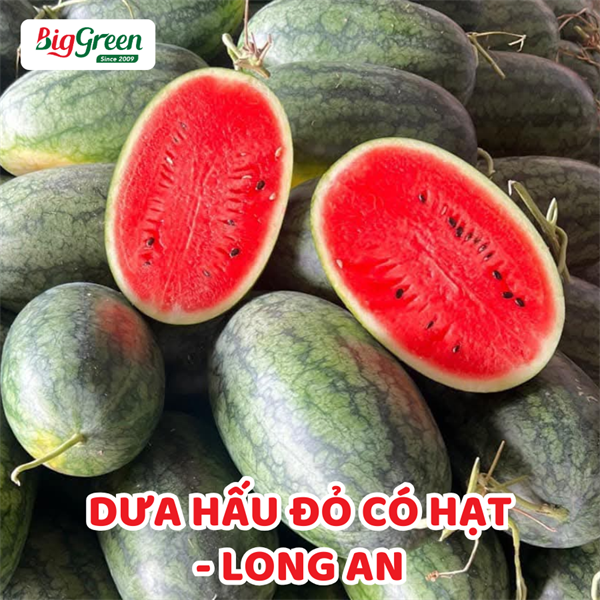 Dưa Hấu Đỏ Có Hạt - Long An