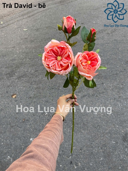 Trà david - bê bê - Hoa cành dài - Hoa Lụa Vân Vượng