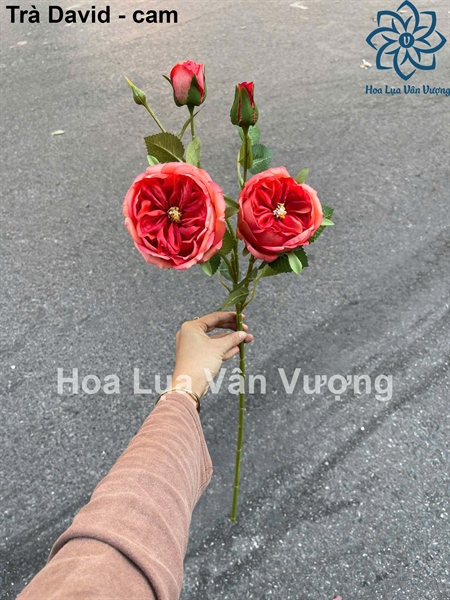 Trà david - Cam - Hoa cành dài - Hoa Lụa Vân Vượng