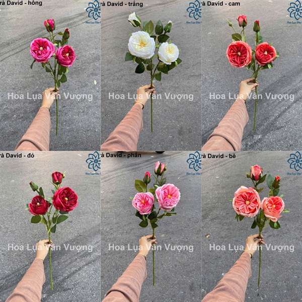 Trà david - Hoa cành dài - Hoa Lụa Vân Vượng
