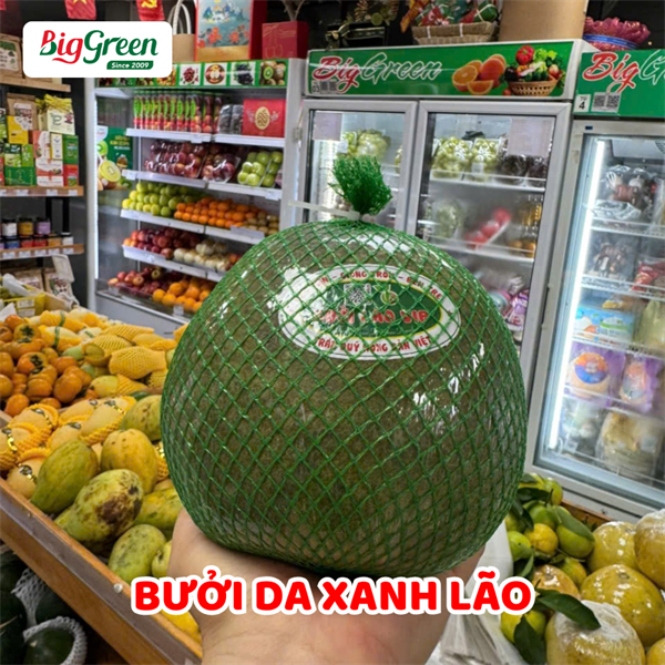 Bưởi Da Xanh Lão
