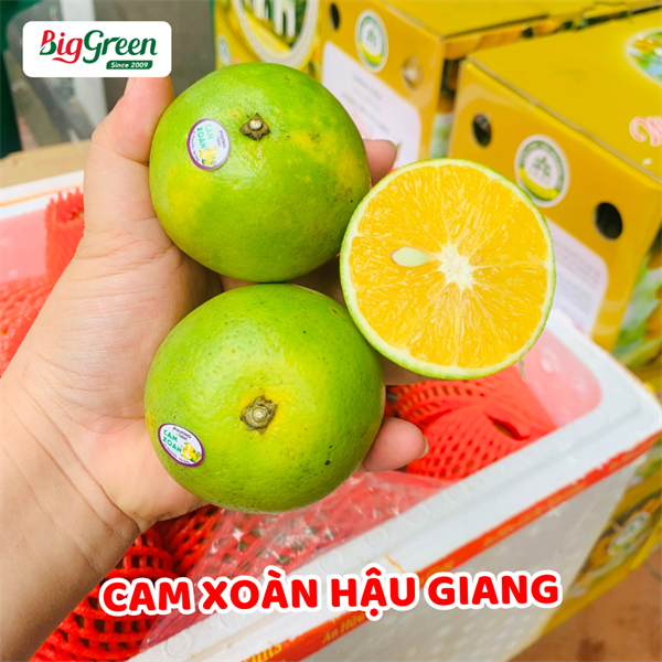 Cam Xoàn Hậu Giang