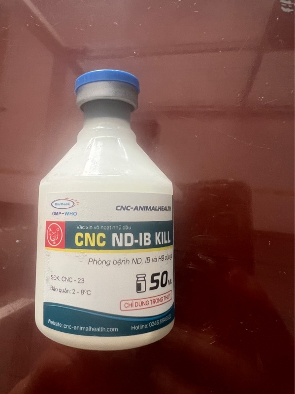 Vacxin cúm H9 niu, v phế quản 100L