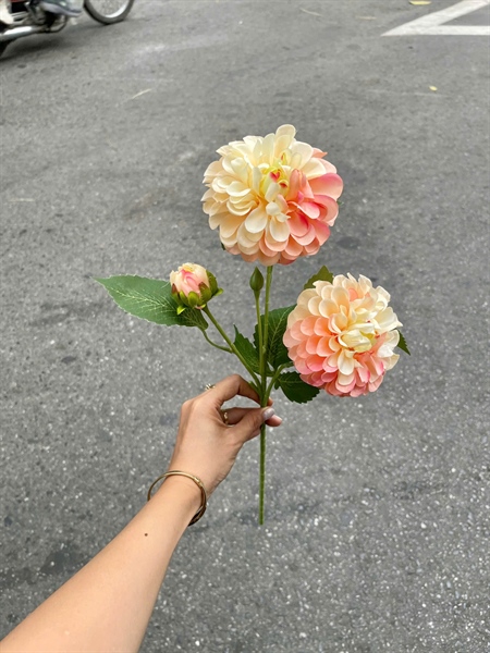 Thược dược 2b1n - bê bê - Hoa cành dài - Hoa Lụa Vân Vượng