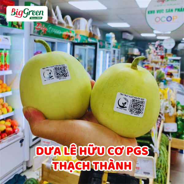 Dưa Lê Hữu Cơ PGS