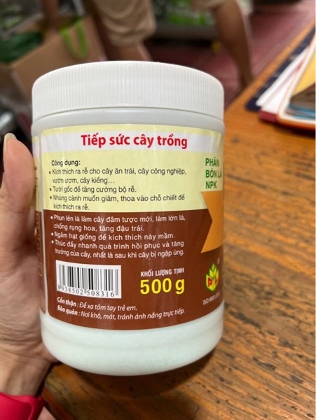 kích ra rễ cực mạnh
