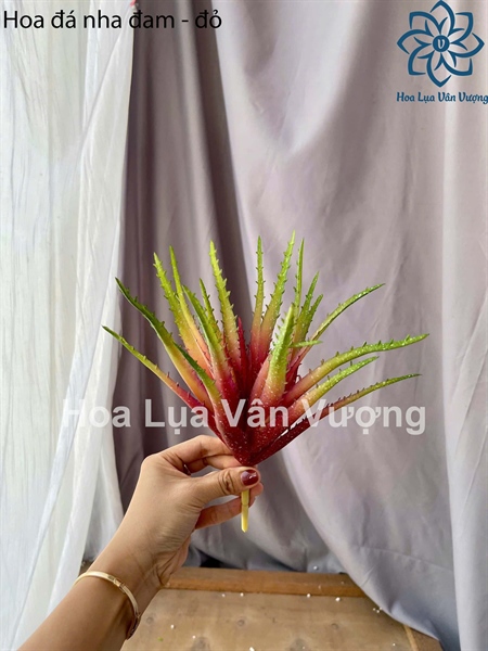 Hoa đá nha đam - Hoa đá - Hoa Lụa Vân Vượng