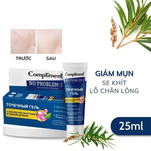 Gel Chấm mụn Compliment AHA-BHA giảm sưng (VAT)
