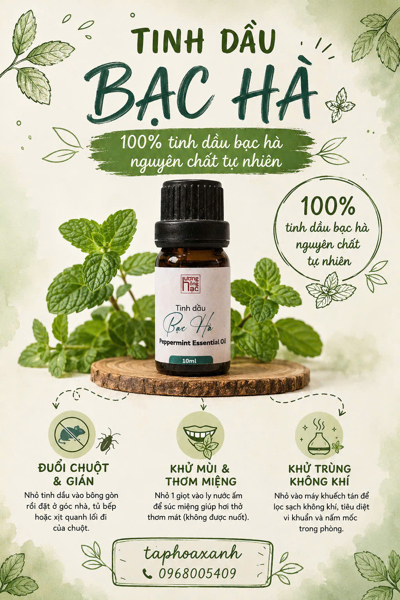 HHH Tinh dầu Bạc Hà lọ 10ml