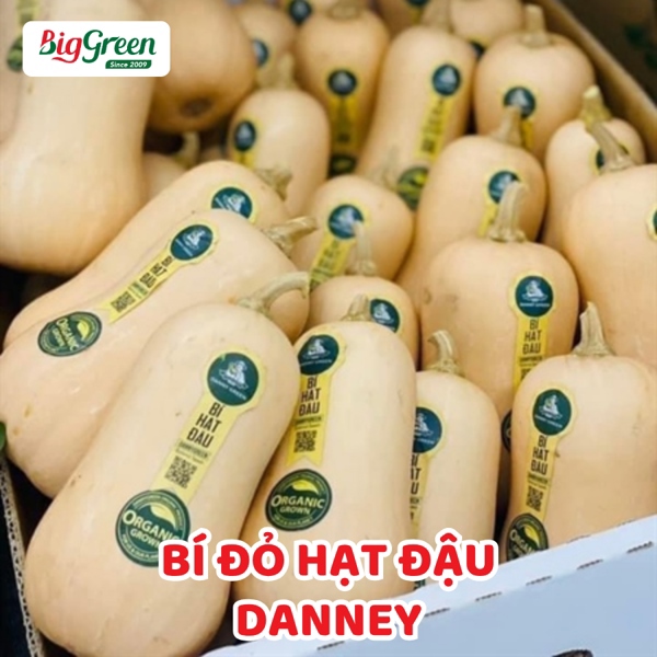 Bí Đỏ Hạt Đậu -Danney