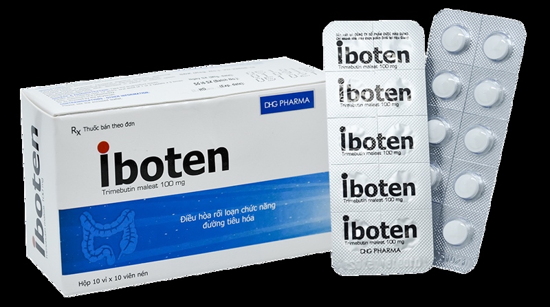 Iboten 100mg dhg (h/100v)