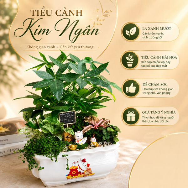 CÂY THÀNH PHẨM 700K