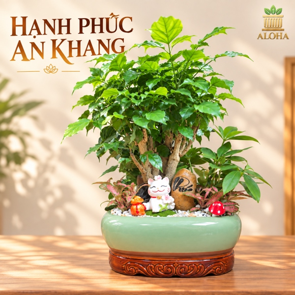 THÀNH PHẨM HẠNH PHÚC AN KHANG