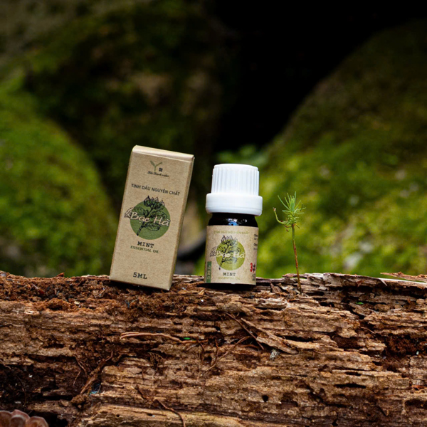 Tinh dầu 5ml - Bạc hà