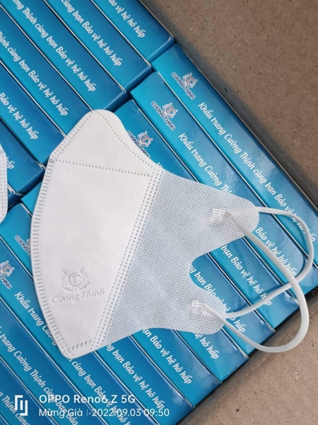 Khẩu trang 5D set 10c